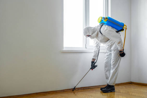 Best Fumigation Services  in Chenoweth, OR